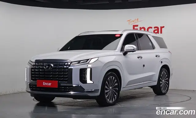 Hyundai Palisade, 2023, 21 569 км