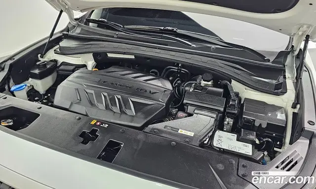 Hyundai Santa Fe 2019 2.0 автомат (гидро), миниатюра 6 Hyundai Santa Fe 2019 2.0 автомат (гидро), миниатюра 6