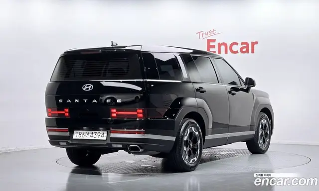 Hyundai Santa Fe 2025 2.5 автомат (гидро), миниатюра 2 Hyundai Santa Fe 2025 2.5 автомат (гидро), миниатюра 2