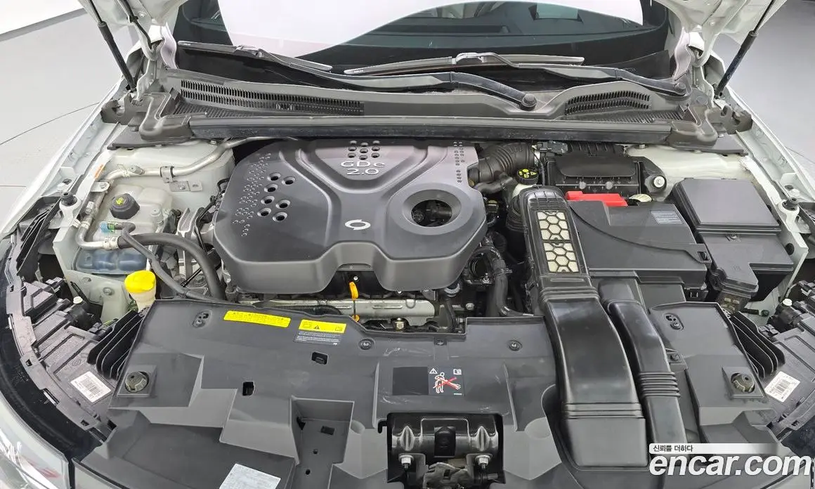 Renault (Samsung) SM6 2019 2.0 автомат (гидро), фото 6