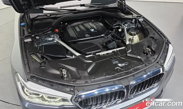 BMW 5 серия 2018 2.0 автомат (гидро), миниатюра 6