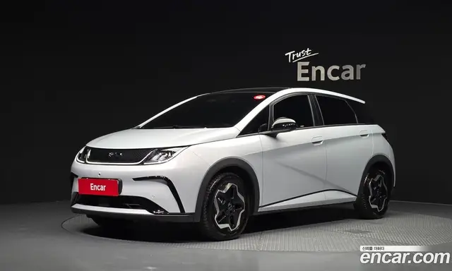 BYD Dolphin 2026 0.1 автомат (гидро), миниатюра 1 BYD Dolphin 2026 0.1 автомат (гидро), миниатюра 1