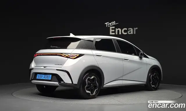 BYD Dolphin 2026 0.1 автомат (гидро), миниатюра 2 BYD Dolphin 2026 0.1 автомат (гидро), миниатюра 2