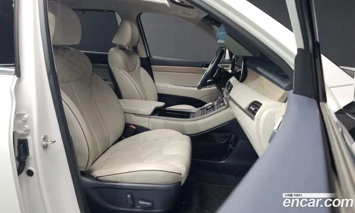 Hyundai Palisade 2020 3.8 автомат (гидро), фото 17