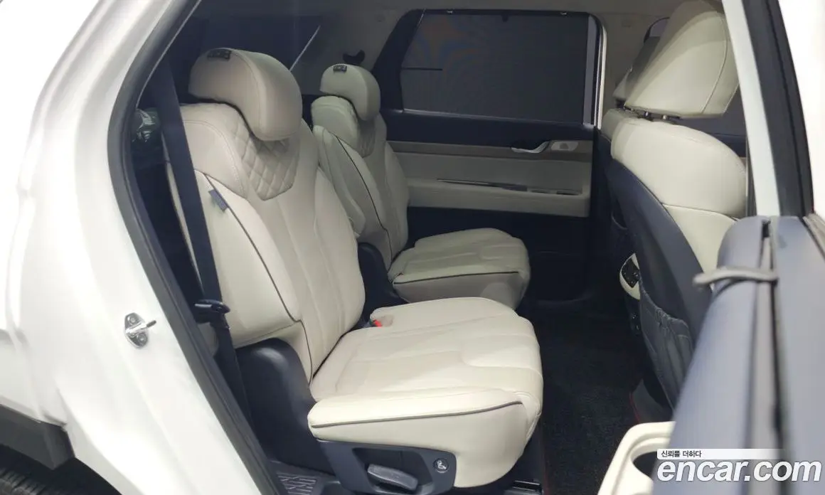 Hyundai Palisade 2020 3.8 автомат (гидро), фото 18