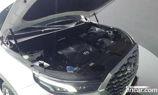 Hyundai Palisade 2020 3.8 автомат (гидро), миниатюра 6