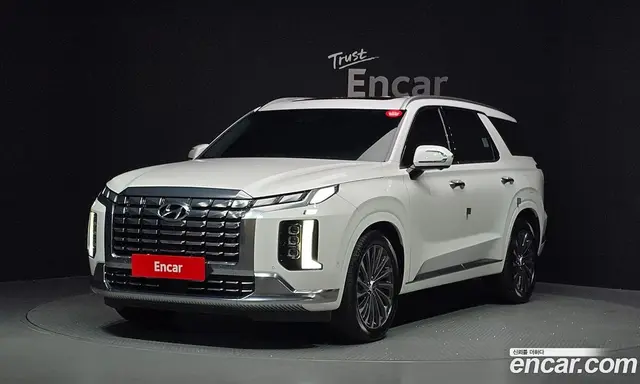 Hyundai Palisade, 2023, 29 671 км