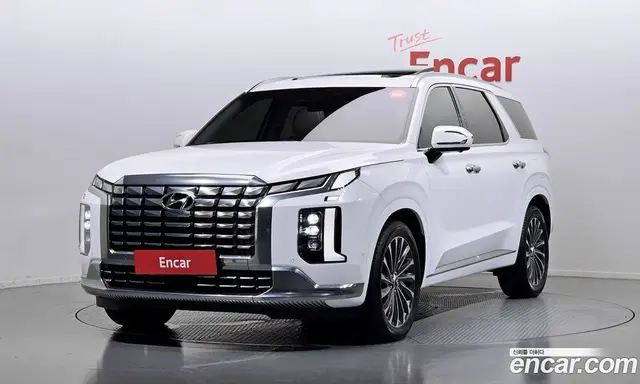 Hyundai Palisade, 2023, 31 484 км