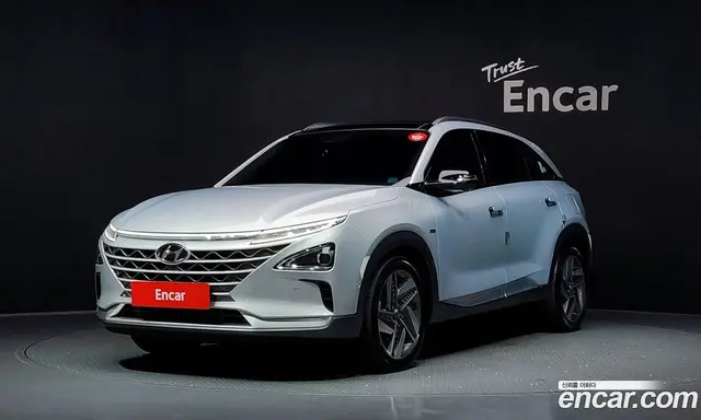 Hyundai Nexo, 2018, 48 775 км
