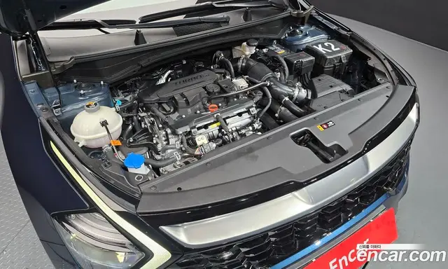 Kia Sportage 2024 1.6 автомат (гидро), миниатюра 6 Kia Sportage 2024 1.6 автомат (гидро), миниатюра 6