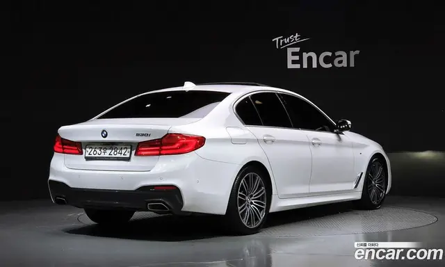 BMW 5 серия 2019 2.0 автомат (гидро), миниатюра 2