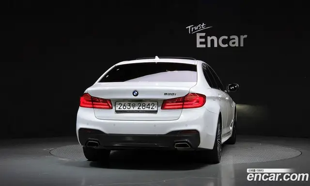 BMW 5 серия 2019 2.0 автомат (гидро), миниатюра 4