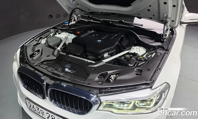 BMW 5 серия 2019 2.0 автомат (гидро), миниатюра 6