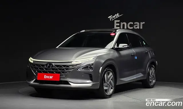 Hyundai Nexo, 2022, 36 705 км