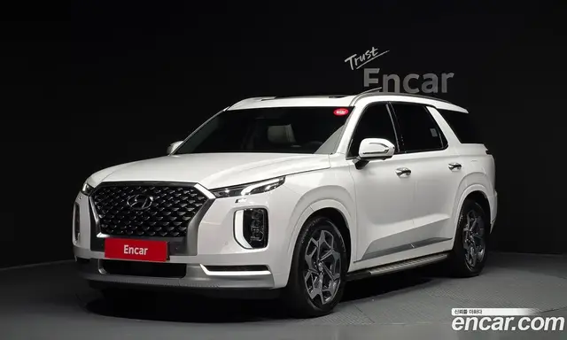 Hyundai Palisade, 2020, 46 745 км