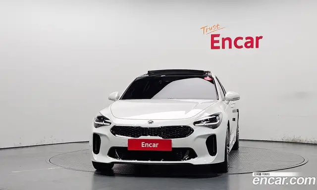 Kia Stinger 2018 2.0 автомат (гидро), миниатюра 3