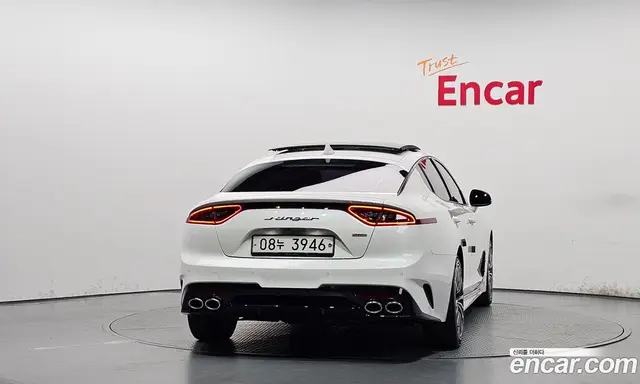 Kia Stinger 2018 2.0 автомат (гидро), миниатюра 4