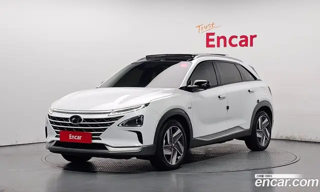 Hyundai Nexo, 2020, 34 110 км