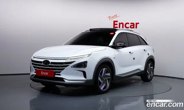 Hyundai Nexo, 2021, 44 672 км