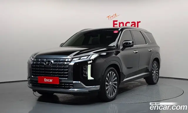 Hyundai Palisade, 2024, 33 644 км
