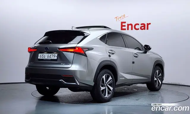 Lexus NX 2019 2.5 автомат (гидро), миниатюра 2