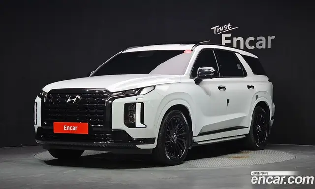 Hyundai Palisade, 2024, 10 728 км