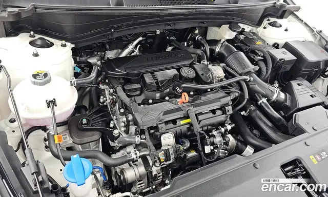 Kia Sportage 2025 1.6 автомат (гидро), миниатюра 6 Kia Sportage 2025 1.6 автомат (гидро), миниатюра 6