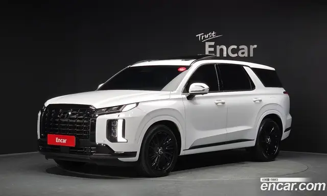 Hyundai Palisade, 2023, 42 618 км