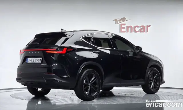 Lexus NX, 2025, 25 178 км