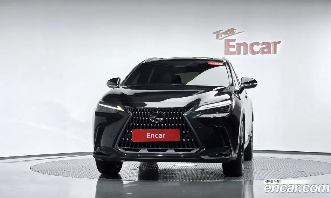 Lexus NX 2025 2.5 автомат (гидро), фото 2 Lexus NX 2025 2.5 автомат (гидро), фото 2