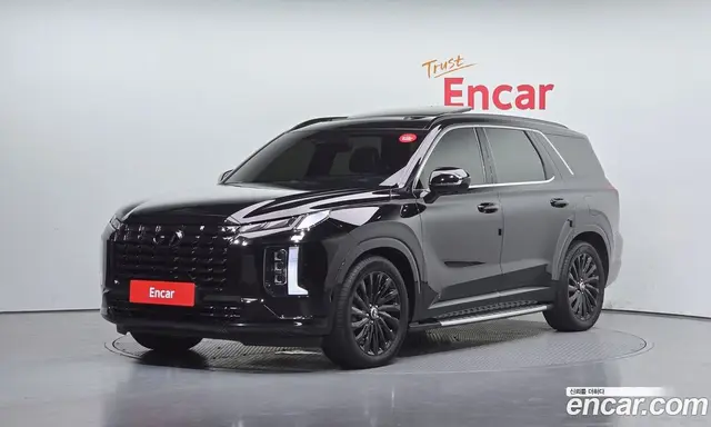 Hyundai Palisade, 2023, 44 119 км