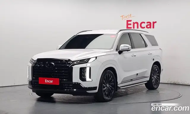 Hyundai Palisade, 2023, 18 978 км