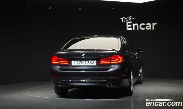 BMW 5 серия 2019 2.0 автомат (гидро), миниатюра 4 BMW 5 серия 2019 2.0 автомат (гидро), миниатюра 4