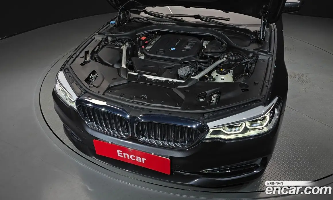 BMW 5 серия 2019 2.0 автомат (гидро), фото 6 BMW 5 серия 2019 2.0 автомат (гидро), фото 6