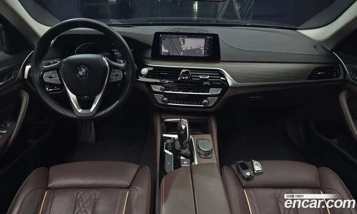 BMW 5 серия 2019 2.0 автомат (гидро), фото 10 BMW 5 серия 2019 2.0 автомат (гидро), фото 10
