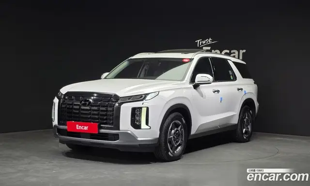 Hyundai Palisade, 2023, 49 430 км