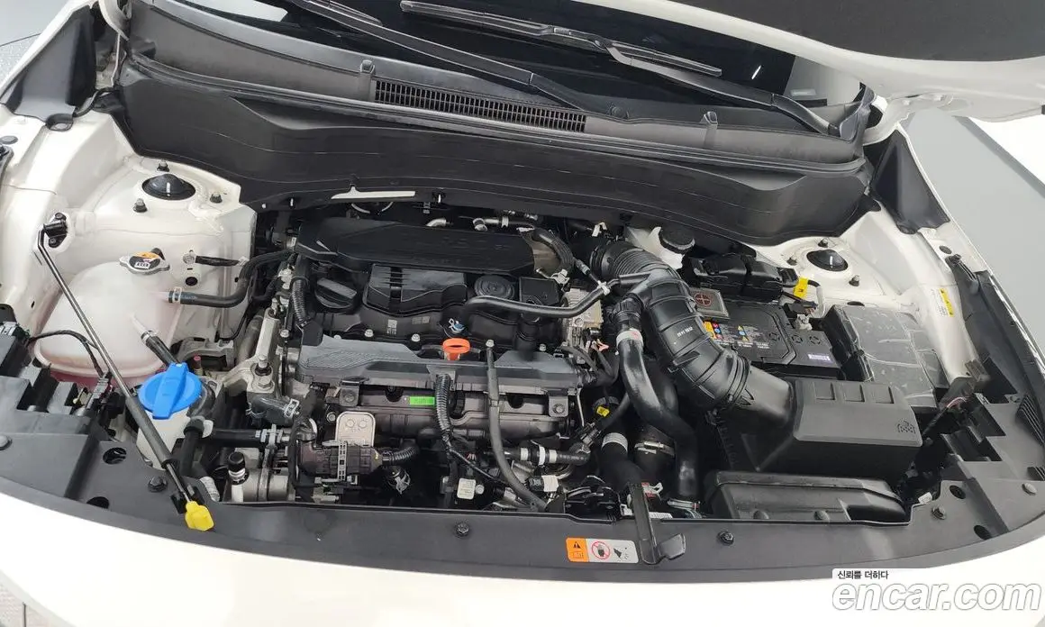 Kia Seltos 2025 1.6 автомат (гидро), фото 6 Kia Seltos 2025 1.6 автомат (гидро), фото 6
