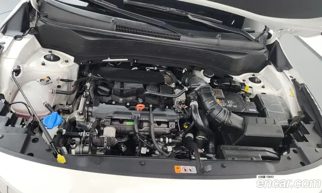 Kia Seltos 2025 1.6 автомат (гидро), миниатюра 6 Kia Seltos 2025 1.6 автомат (гидро), миниатюра 6