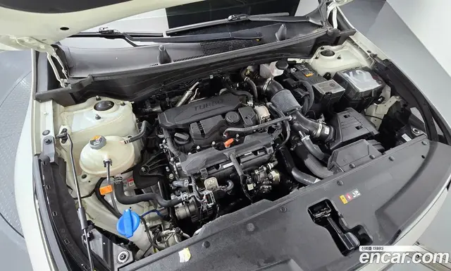 Kia Sportage 2023 1.6 автомат (гидро), миниатюра 6 Kia Sportage 2023 1.6 автомат (гидро), миниатюра 6