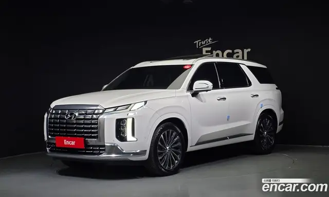 Hyundai Palisade, 2022, 21 863 км