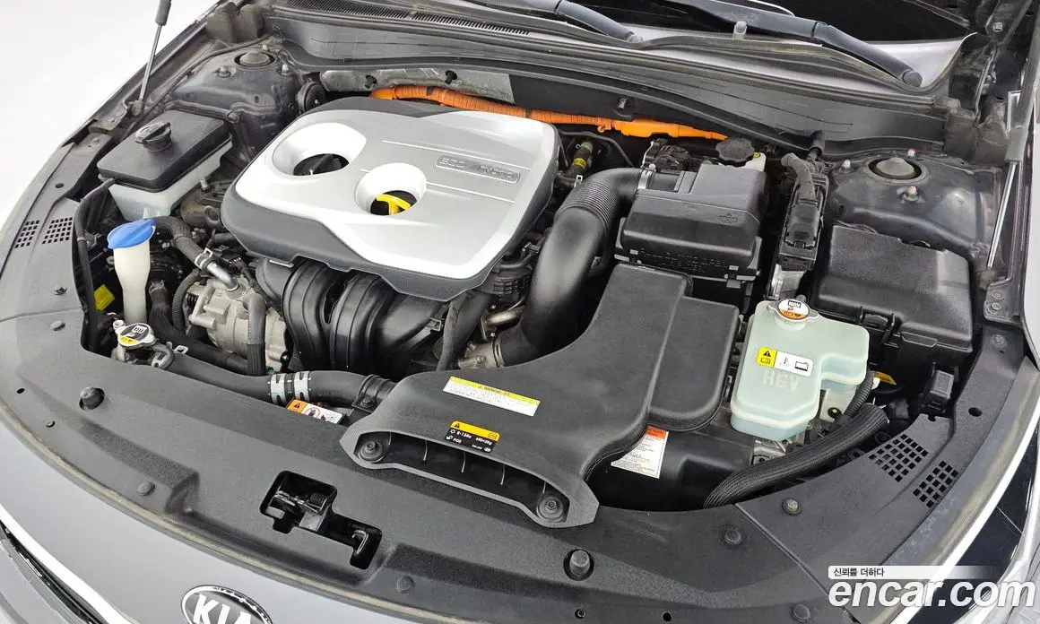 Kia K5 (Optima) 2016 2.0 автомат (гидро), фото 6 Kia K5 (Optima) 2016 2.0 автомат (гидро), фото 6