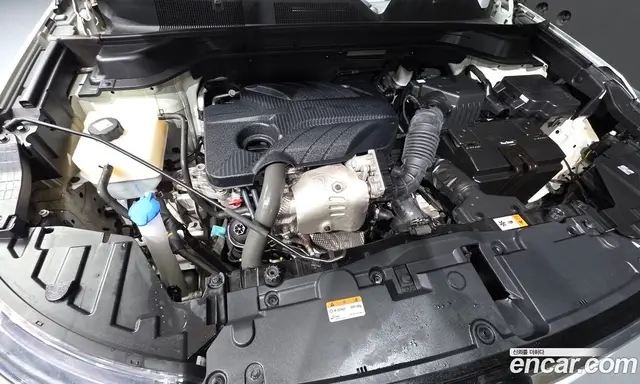 SsangYong Korando 2019 1.6 автомат (гидро), миниатюра 6 SsangYong Korando 2019 1.6 автомат (гидро), миниатюра 6