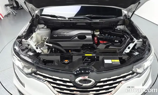 Renault (Samsung) QM6 2019 2.0 автомат (гидро), миниатюра 5