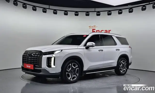 Hyundai Palisade, 2023, 28 233 км