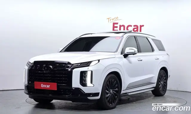 Hyundai Palisade, 2023, 30 377 км