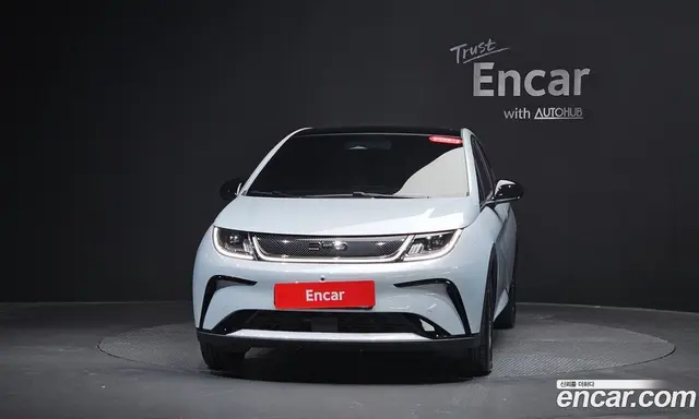 BYD Dolphin 2026 0.1 автомат (гидро), миниатюра 2