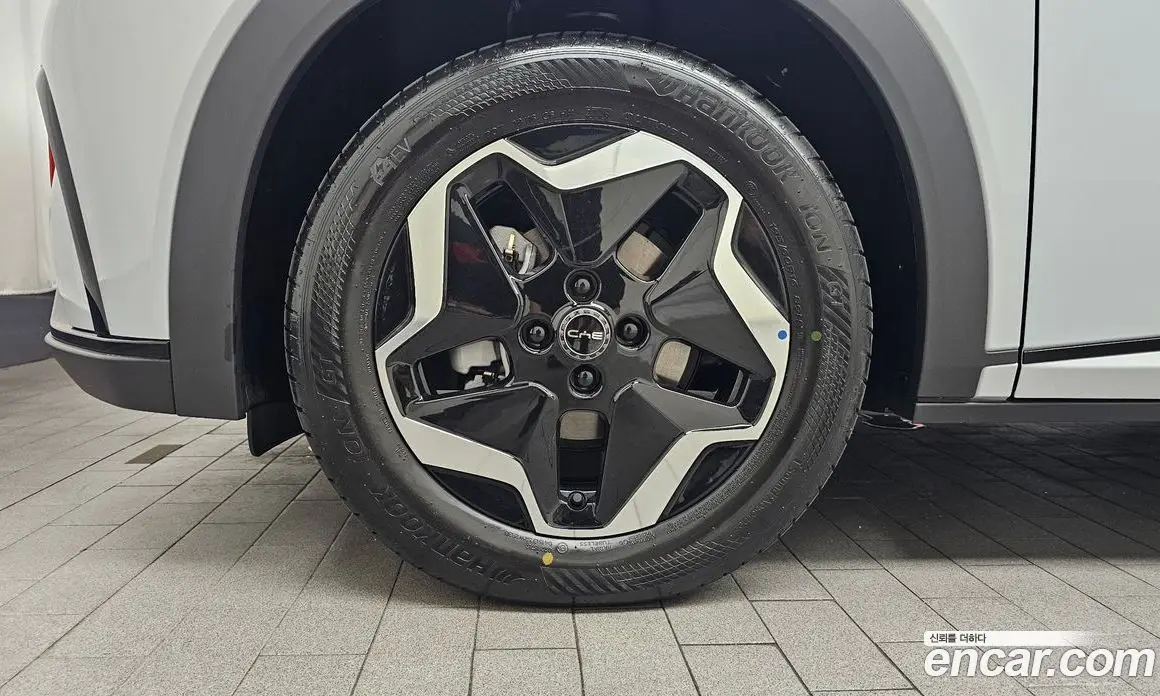BYD Dolphin 2026 0.1 автомат (гидро), фото 4