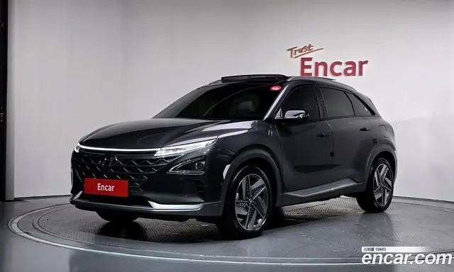 Hyundai Nexo, 2024, 16 621 км