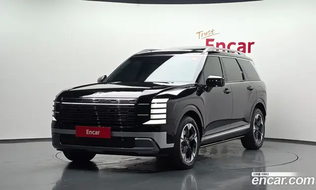 Hyundai Palisade, 2025, 13 334 км