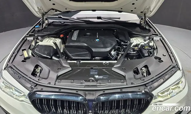 BMW 5 серия 2017 2.0 автомат (гидро), миниатюра 6